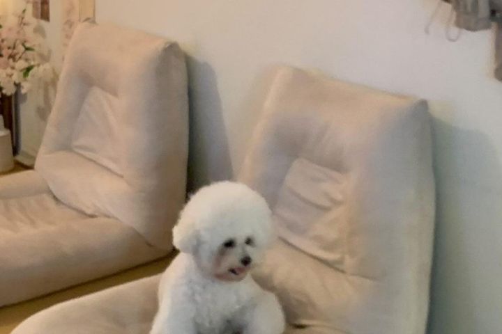 금호동 옥캉스 2 4번째 이미지
