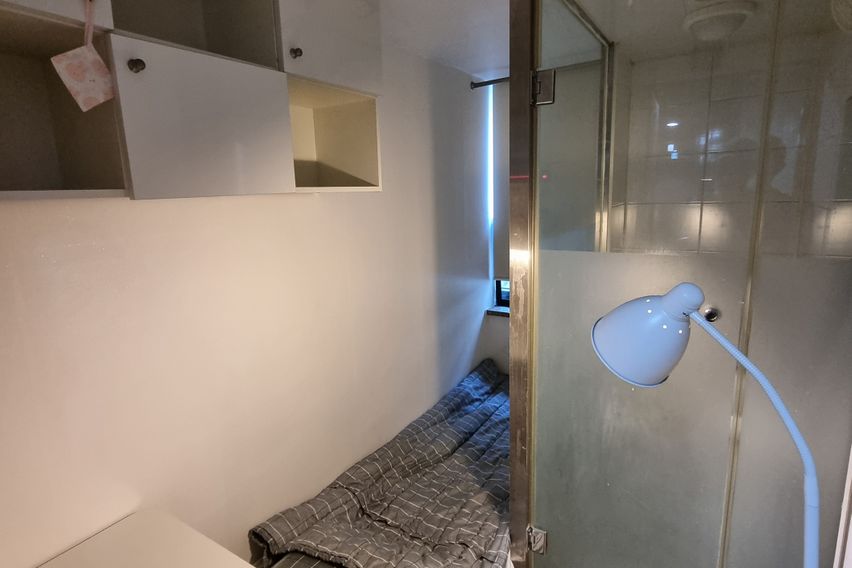 고고스테이 C타입