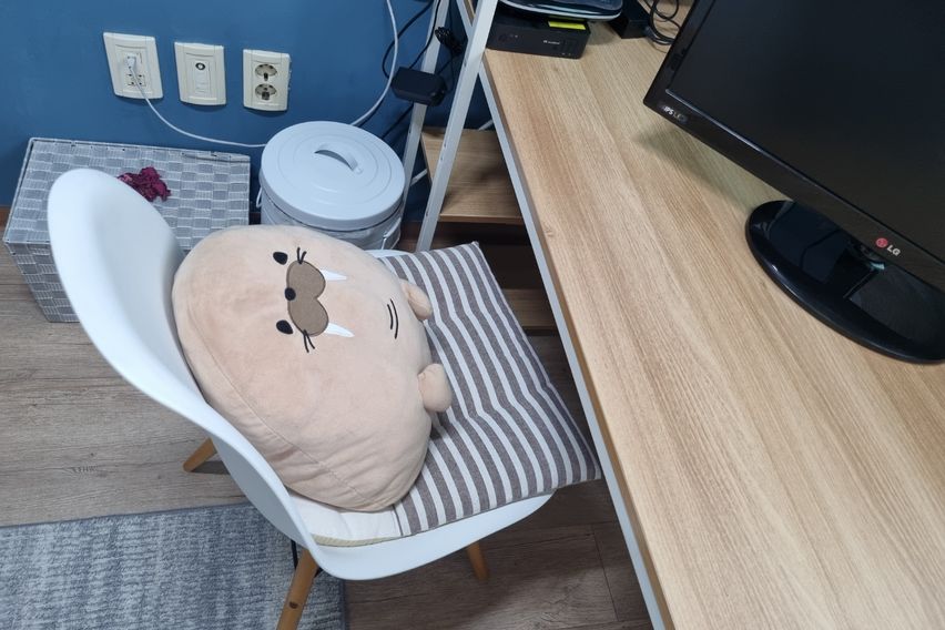 대전유성 충남대 초특가 13번째 이미지