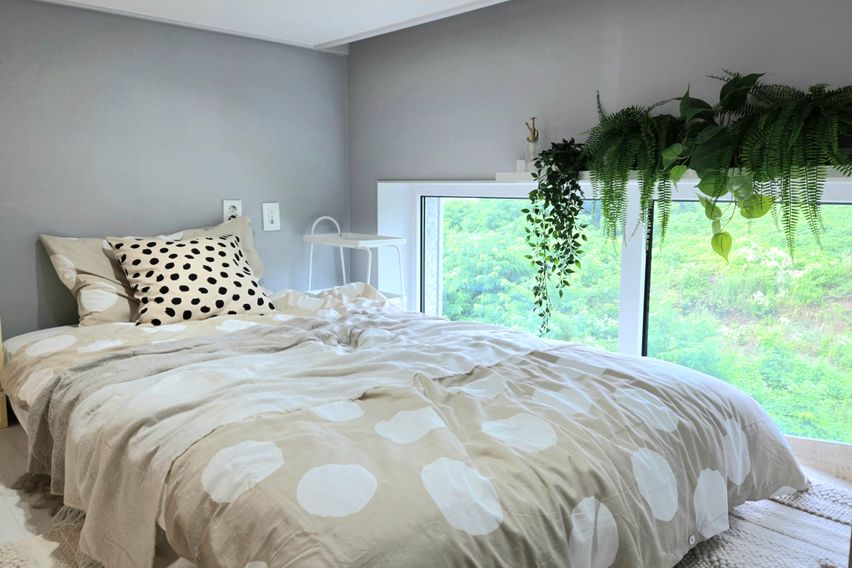 ❤️힐링숲속뷰362호 ❤️