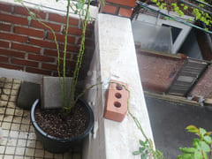 Haebangchon detached house – women only 6th image