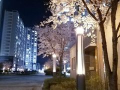 서정리/지제역/평택역 10번째 이미지