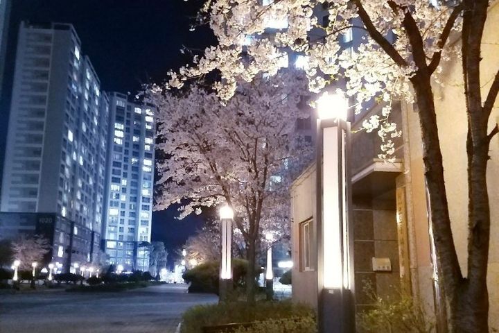 서정리/지제역/평택역 10번째 이미지
