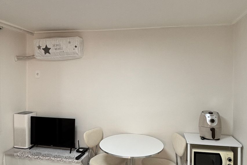 🌱초록이와 함께 잠을