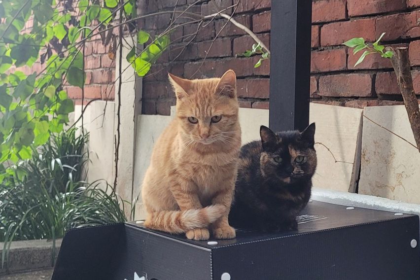 주안 205호 12번째 이미지