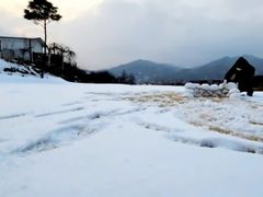 개미네 6번째 이미지
