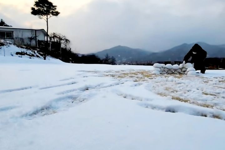 개미네 6번째 이미지