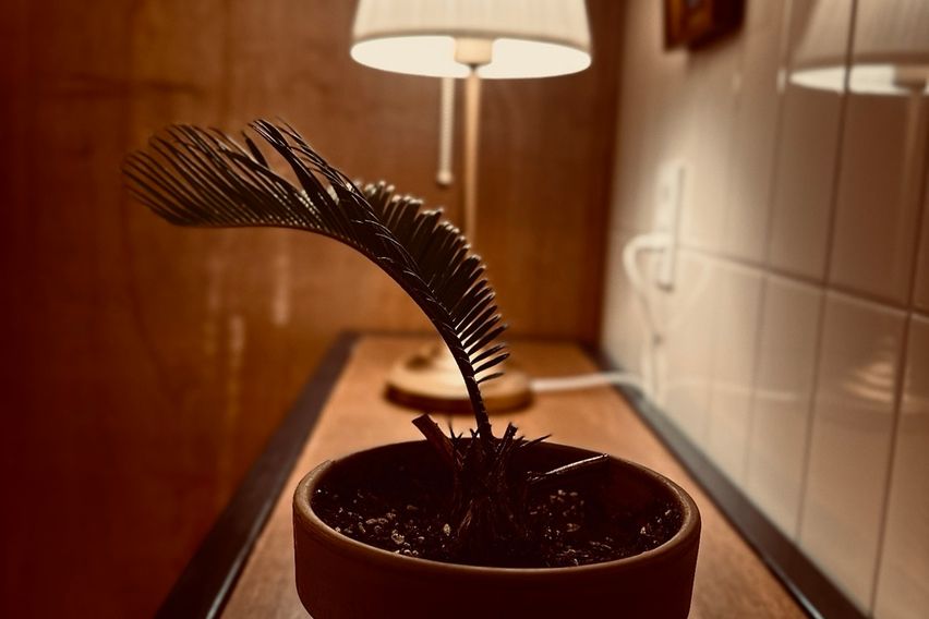 한동 아르케하우스 I 3번째 이미지