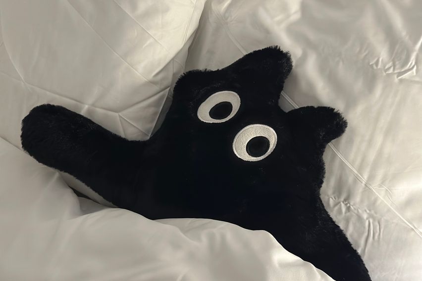 🍀양정부산시청서면신축🍀