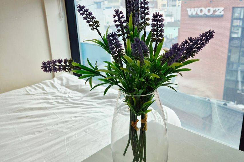 종로3가/익선동/경복궁 10번째 이미지