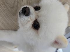스카이룸 6번째 이미지