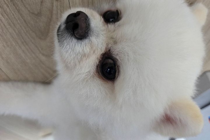 스카이룸 6번째 이미지