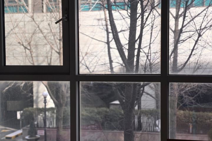 일산최고 0번째 이미지