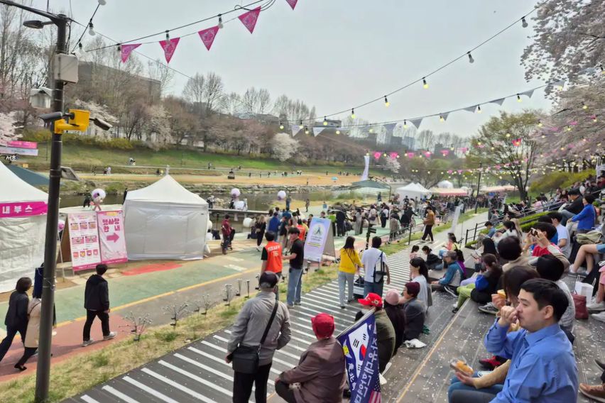 벚꽃양재카페공원 바로앞 6번째 이미지