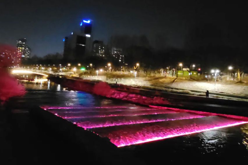 벚꽃양재카페공원 바로앞 4번째 이미지