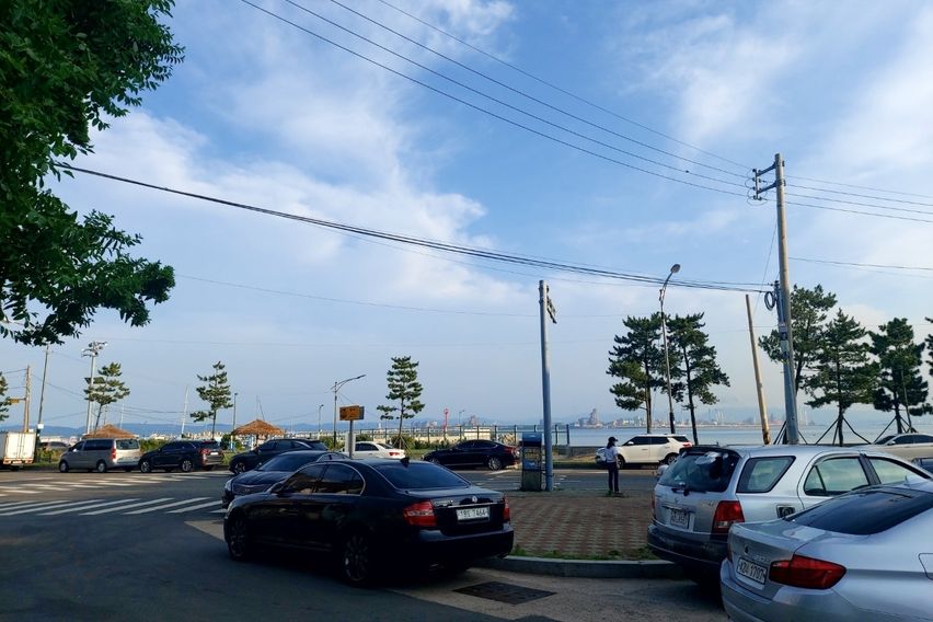 포항 홍시네 앞마당