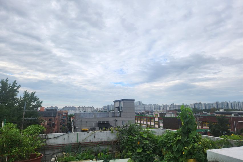 2아주대 광교호수 도보