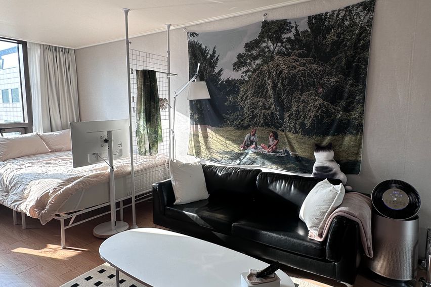 정발산역/암센터 인근🧡