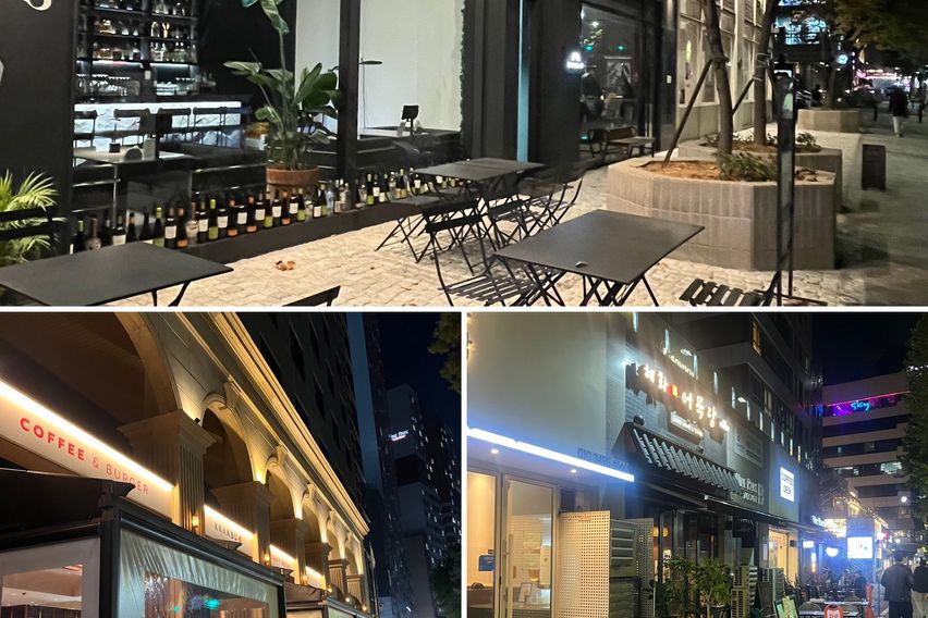 🌿석촌호수 강남 