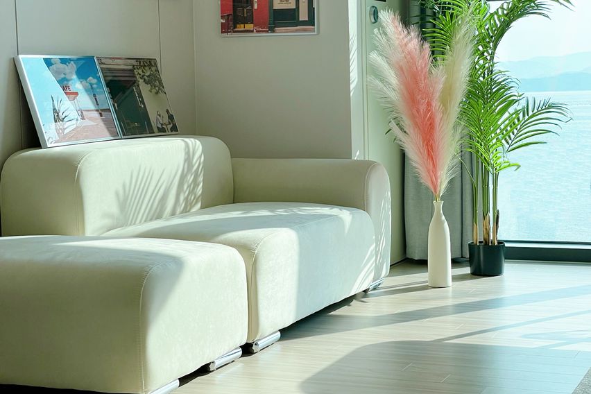 캘리포니아드림