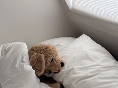 시청소소길 연산역 근처 1번째 이미지