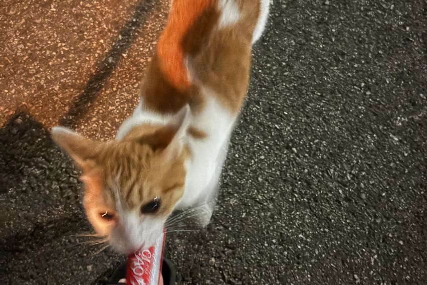 가성비쓰리룸 오션뷰 15번째 이미지