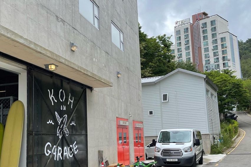 바닷가/넷플/숲세권애견