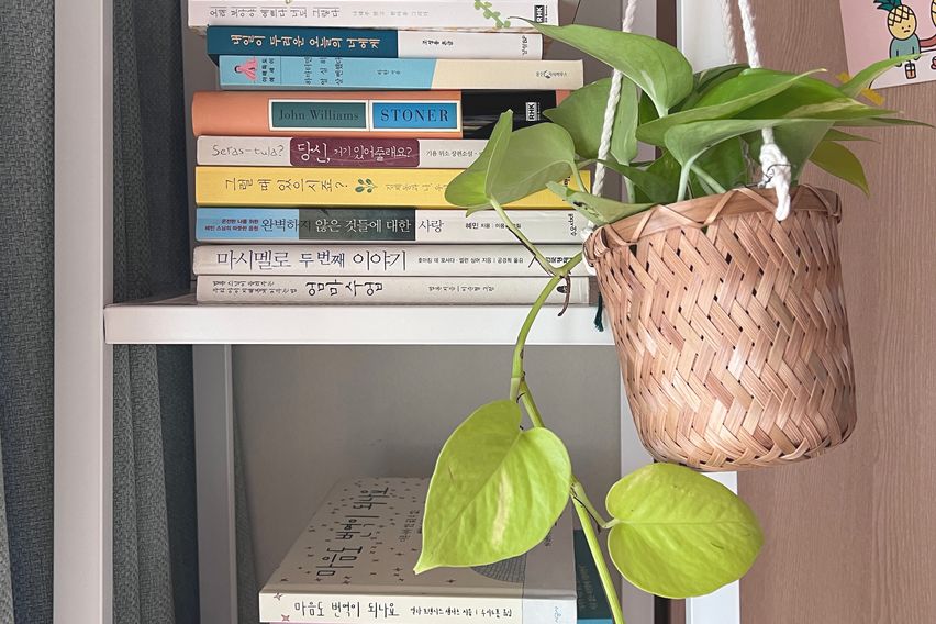 국립암센터 올수리