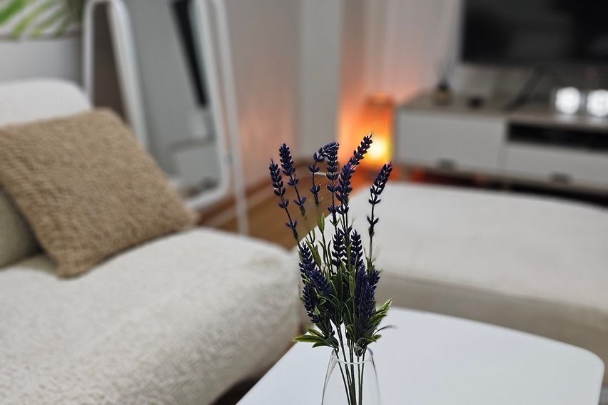 중앙역 가성비최고오피스