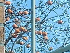 한옥웨이-시청/교대/ 3번째 이미지