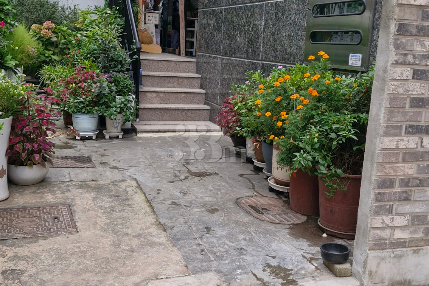 Nakseongdae 2-minute flower-filled house 103 9th image