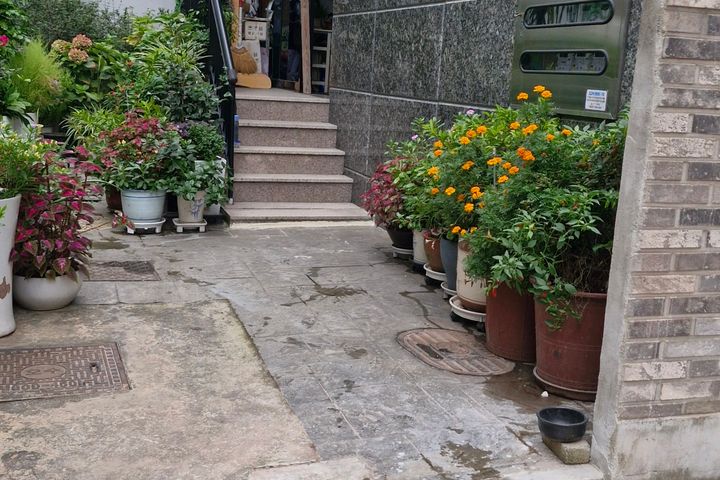 Nakseongdae 2-minute flower-filled house 103 9th image