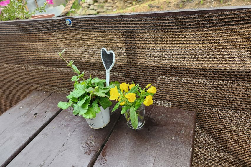 강화.  펜션. 안드로