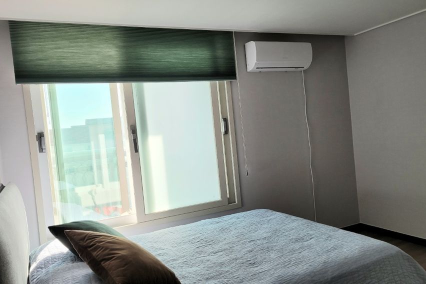 🌈 서귀포17평 애견