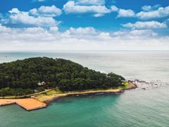 바다의 별 2번째 이미지