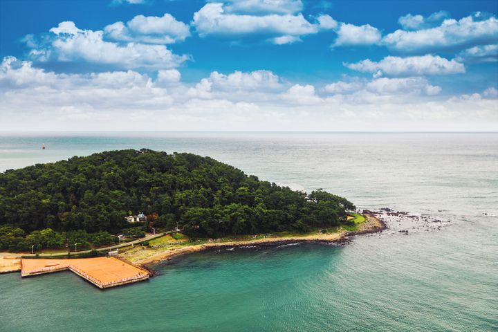 바다의 별 2번째 이미지