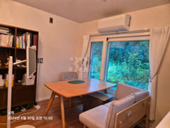 Stone house with a yard in the Jeju countrysi 3th image