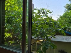 Oak Tree House 7th image