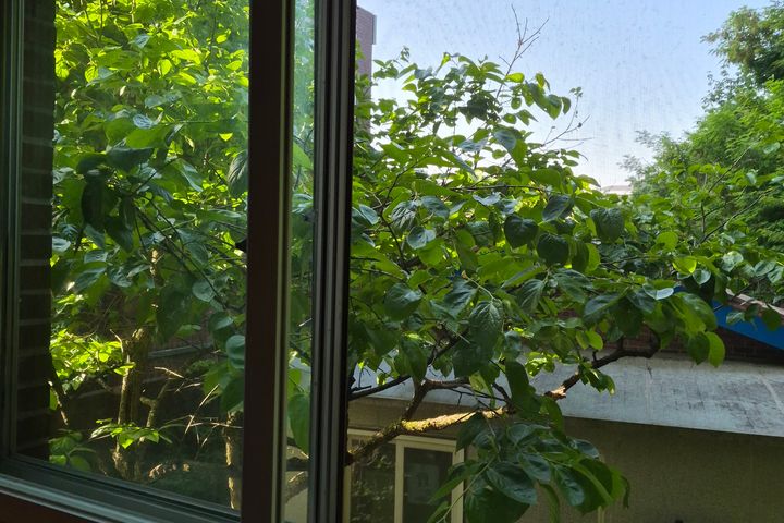 Oak Tree House 7th image