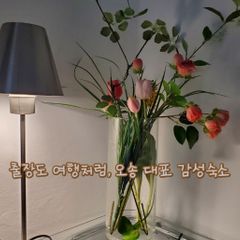 화이트브리즈202오송 방 이미지