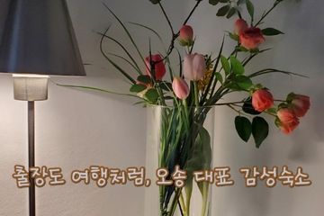 화이트브리즈202오송