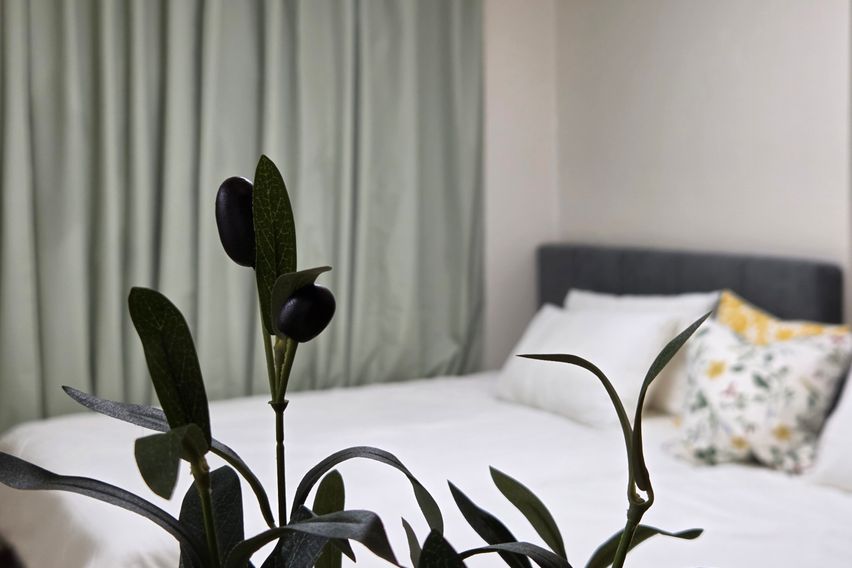 종로 올리브🌿 스테이