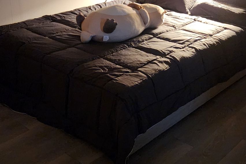 신축전북대병원*대자인