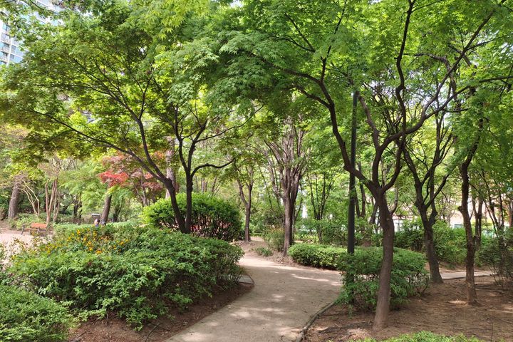 앞 바다 뒷산3 12번째 이미지