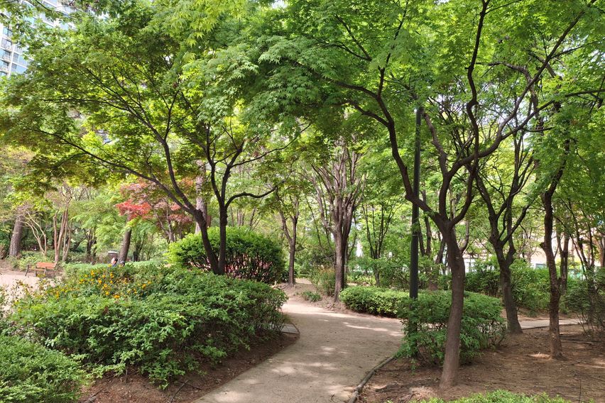 앞 바다 뒷산3 12번째 이미지