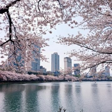 석촌역 호수공원 송리단