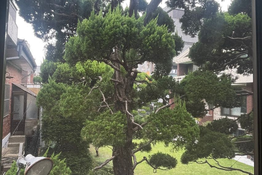 홍대역3분❤️아늑한숙소 12번째 이미지