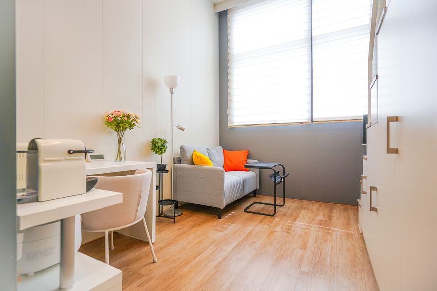 미금/정자🐕댕냥이OK