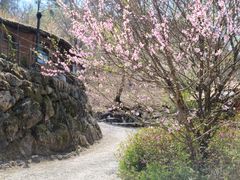 Gurye Hwangtobang Shelter/Hashimjeong 16th image