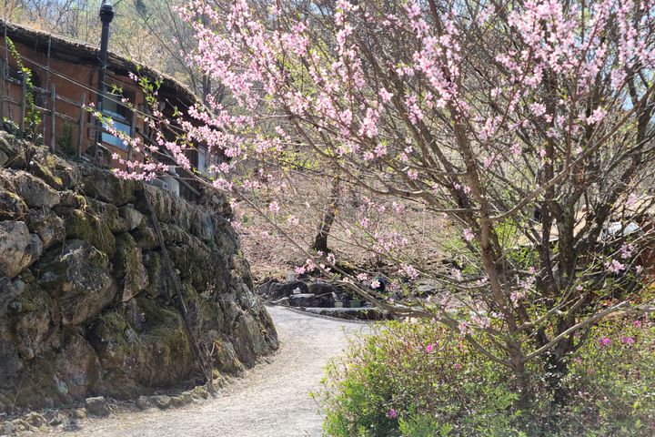 Gurye Hwangtobang Shelter/Hashimjeong 16th image